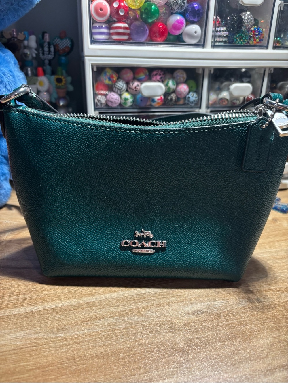 Coach Deep Green Leather Crossbody Bag